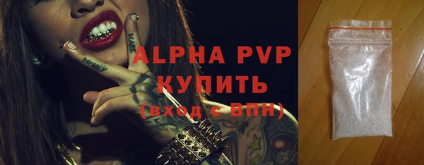 ПСИЛОЦИБИНОВЫЕ ГРИБЫ Переславль-Залесский