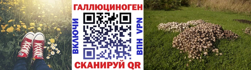 Купить где  Муром  Галлюциногенные грибы Cubensis 